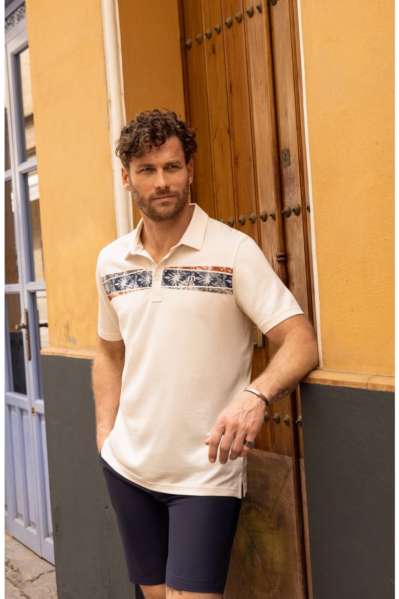 Postcard Market Stripe Polo, Alternate, color, BIRCH