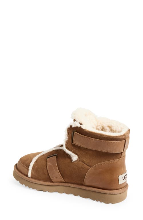 Ugg ® Dune Mini Buckle Plush Bootie In Animal Print