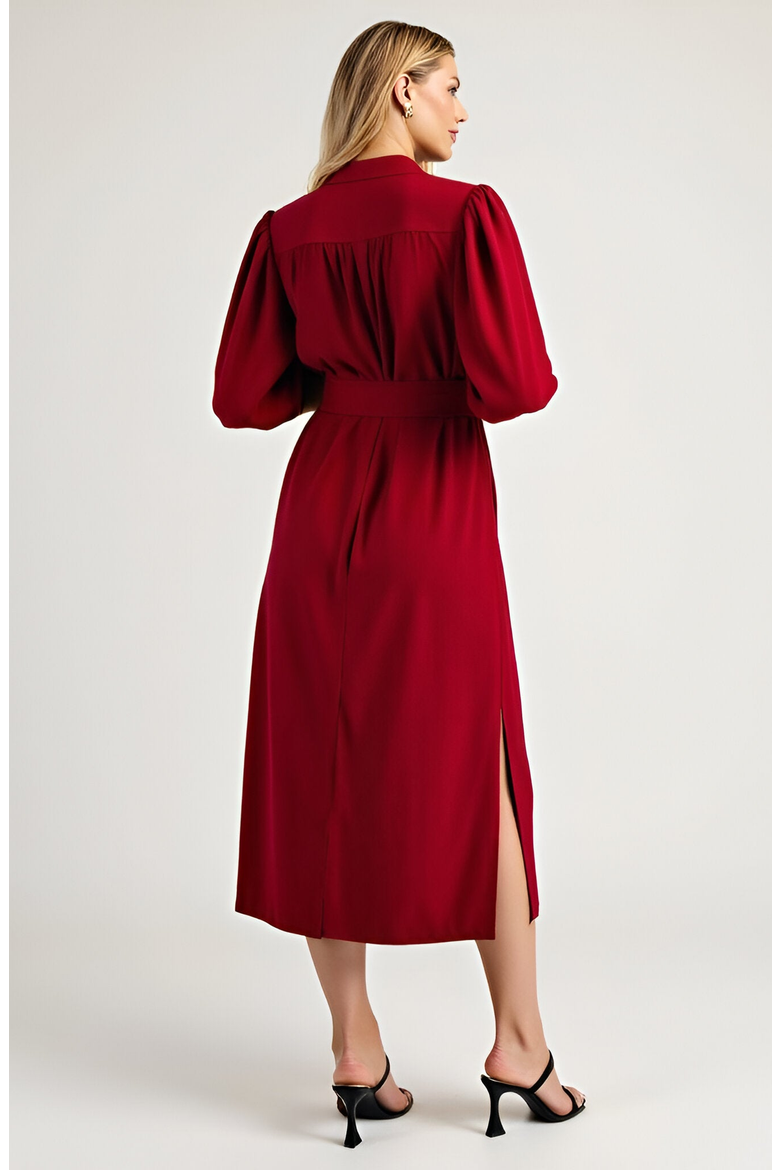 Short Sleeve Mini Dress with Belted Waist and Utility Pockets, Alternate, color, Dark Red