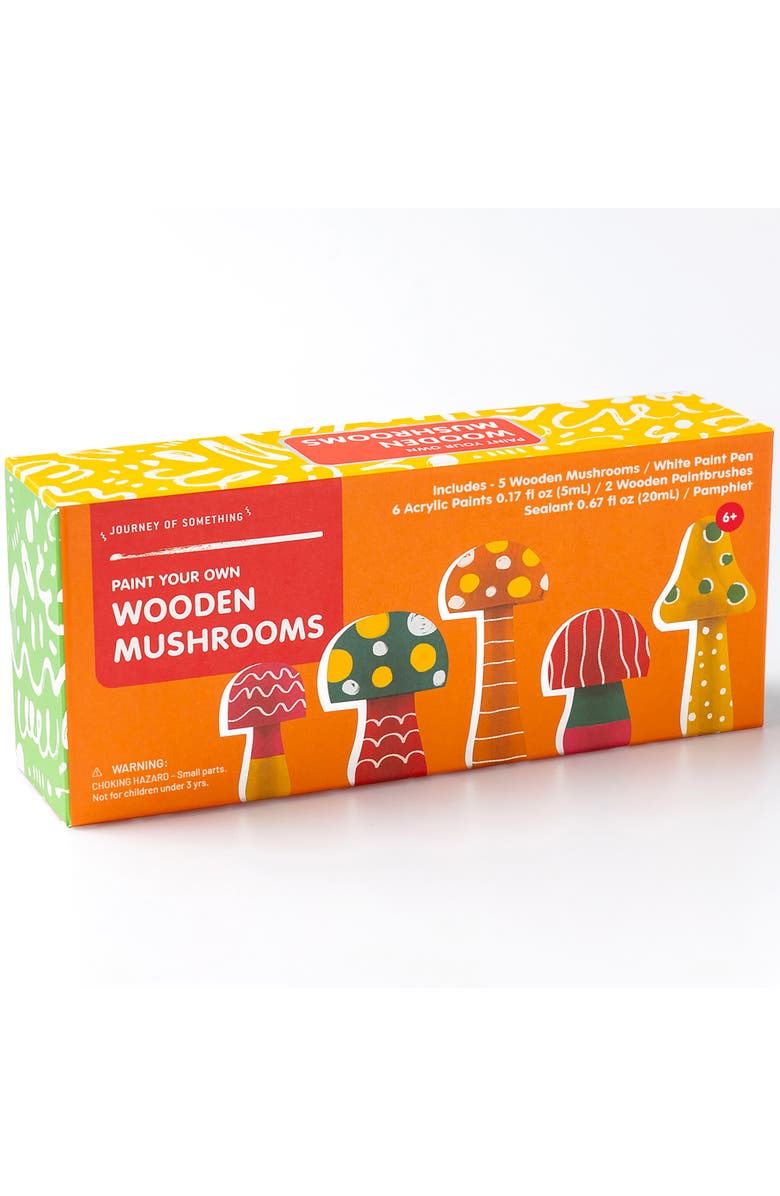 Journey of Something Paint Your Own Wooden Mushrooms, DIY Craft Kit, Kids 6+, Main, color, Multicolored