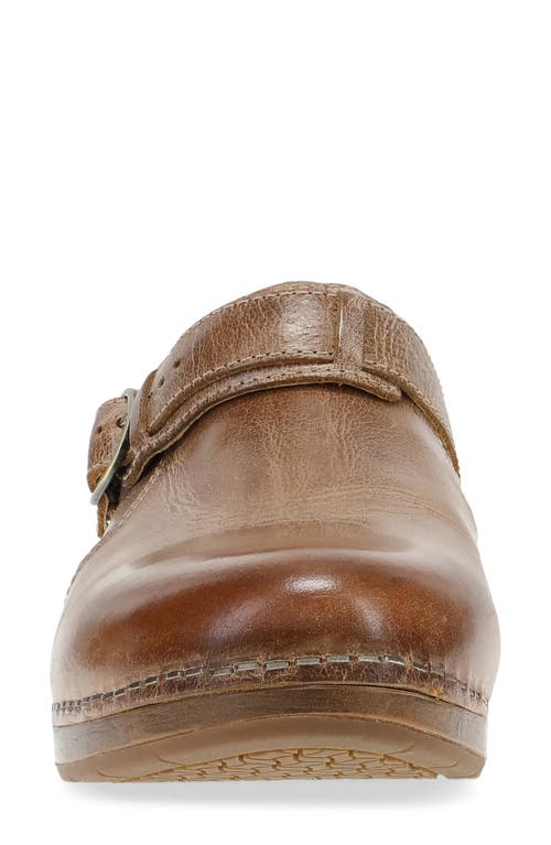 Dansko Millie Mule In Brown