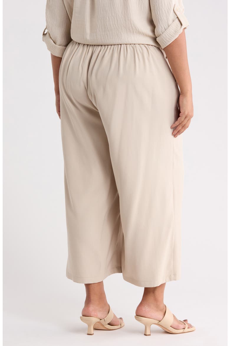 Brushed Twill Crop Wide Leg Pants, Alternate, color, PUMICE-PUMICE