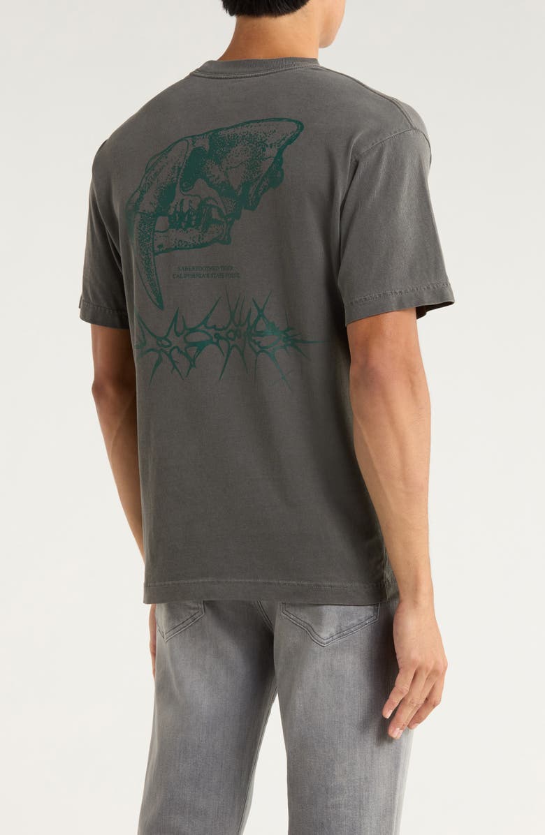 Vans Sabertooth Organic Cotton Graphic T-Shirt, Alternate, color,
