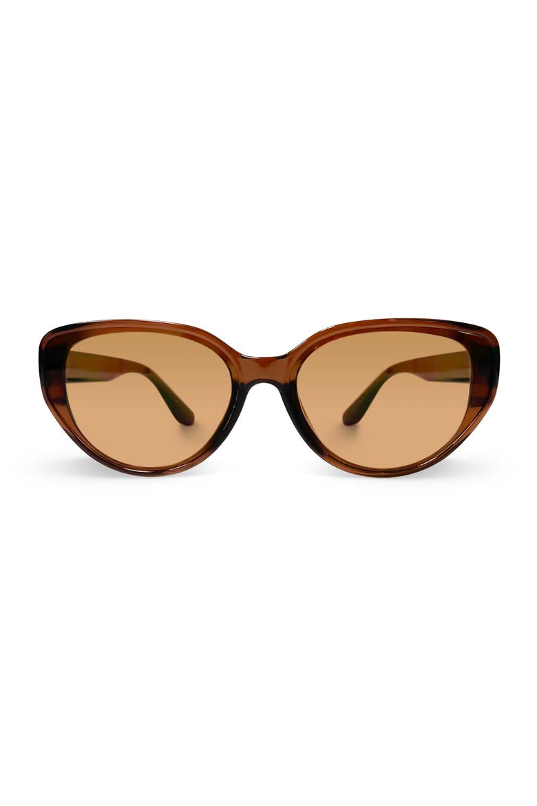 The Camden Sunglasses, Main, color, Brown