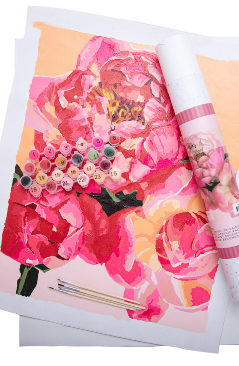 Petal Power Paint by Numbers Kit
