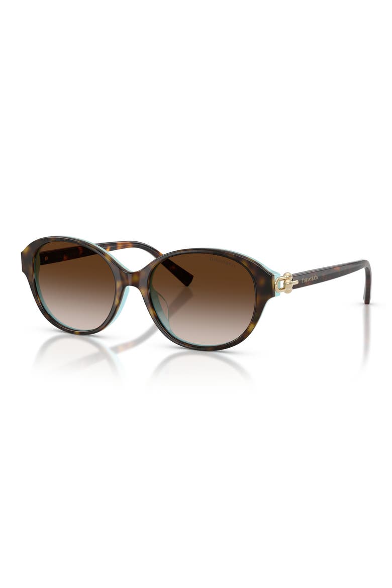 54mm Round Sunglasses, Alternate, color, HAVANA ON TIFFANY BLUE / BROWN