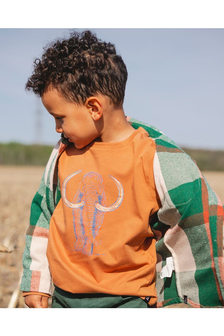 Boy Organic Cotton Long Sleeve T-Shirt, Alternate, color, Cashew Brown