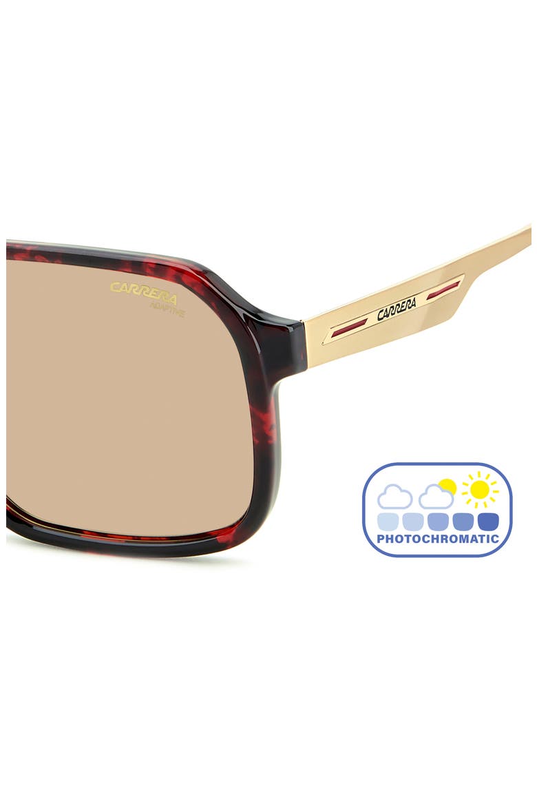 Victory 59mm Photochromic Square Sunglasses, Alternate, color, RED HAVANA/ BRW FT AR