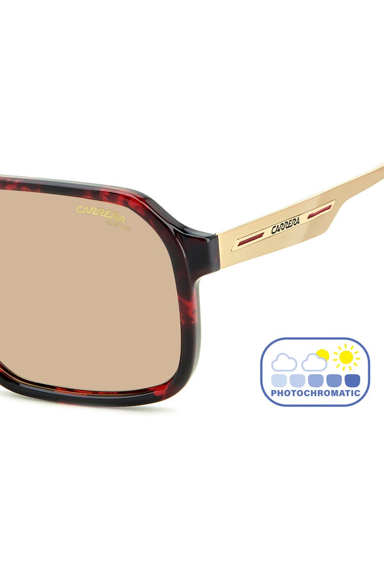 Carrera Eyewear Victory 59mm Photochromic Square Sunglasses, Alternate, color, Red Havana/ Brw Ft Ar
