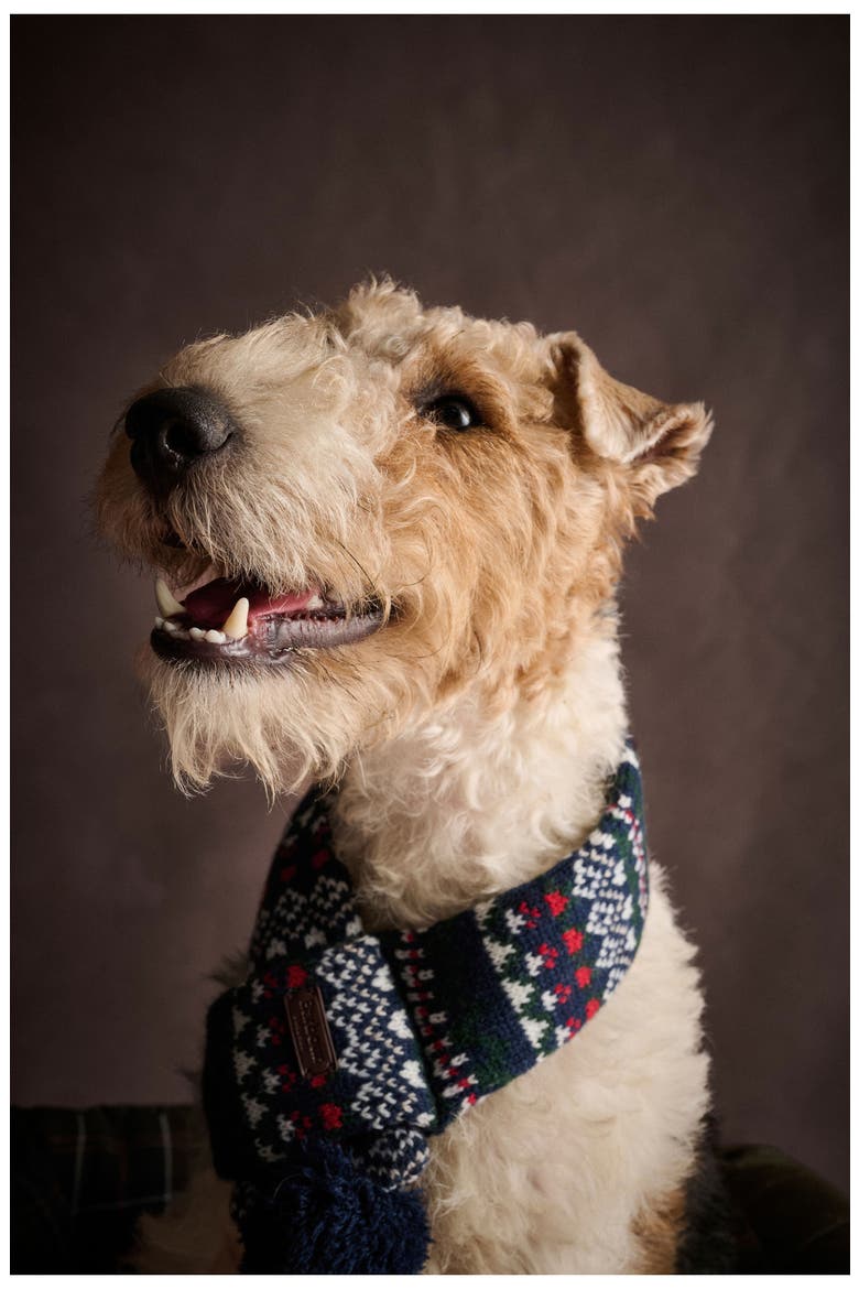 Marlow Fair Isle Dog Scarf, Alternate, color, NAVY FESTIVE