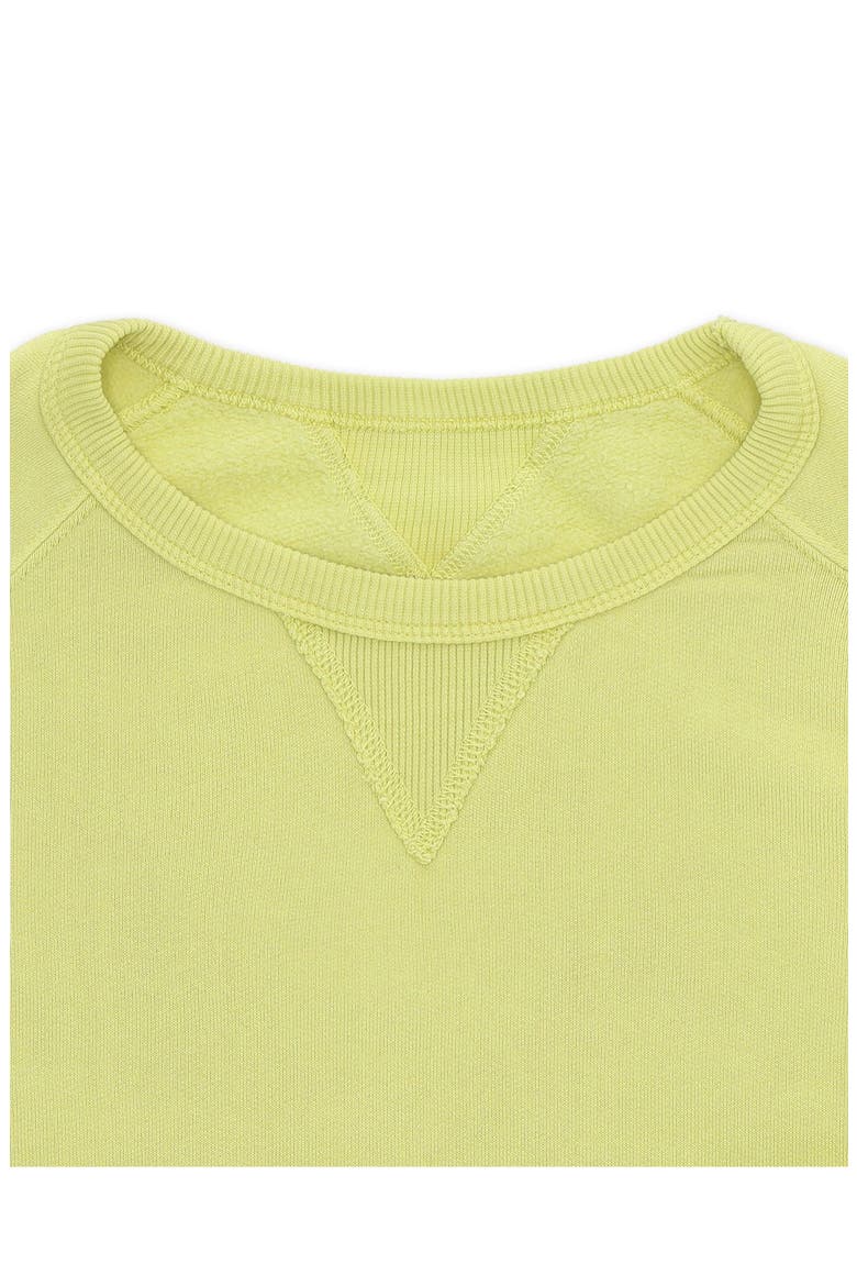 Harvard Fleece Jersey Raglan Sleeve Sweatshirt, Alternate, color, Lemon Yellow