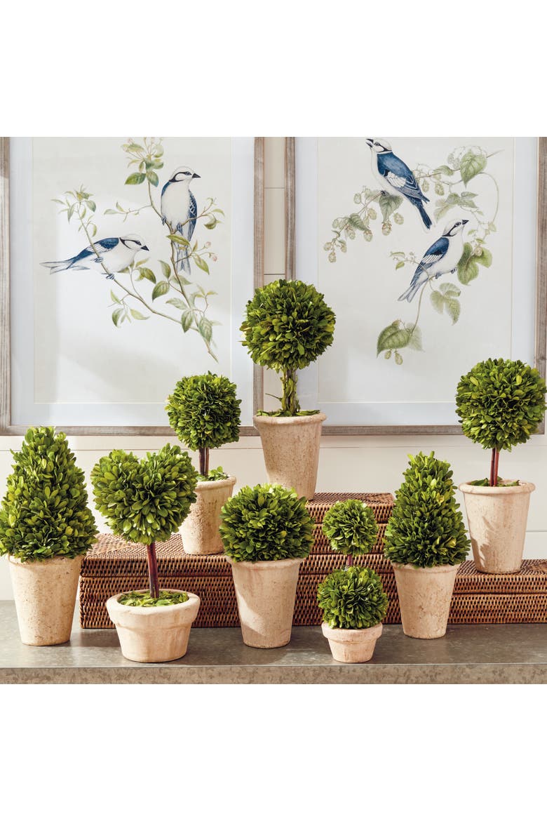 Boxwood Topiaries Faux (Fake) Set of 8, Alternate, color, Brown