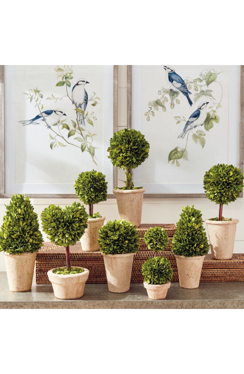 Napa Home & Garden Boxwood Topiaries Faux (Fake) Set of 8, Alternate, color, Brown