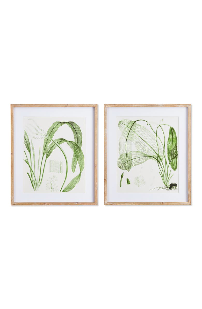 Napa Home & Garden Aquatic Leaf Prints, Set Of 2, Main, color, Green