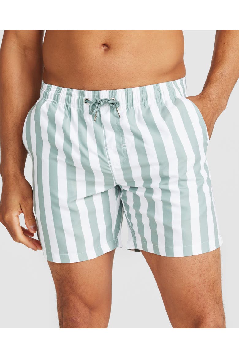 Naxos Swim Short, Main, color, Sage Green & White Stripe