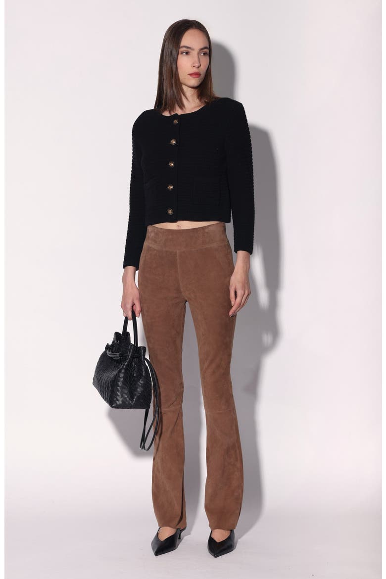 Lexie Suede Leather Pant, Alternate, color, Brown