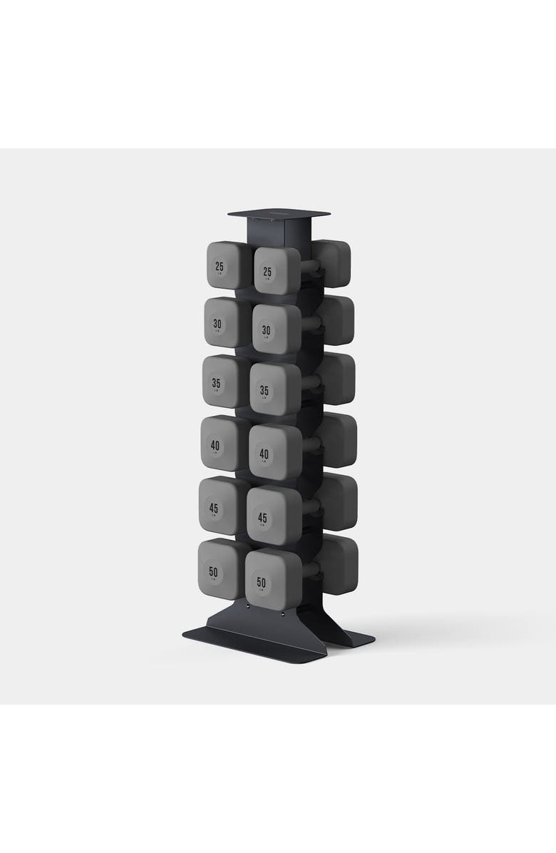 WeGym ProGrip Dumbbells Upper Set  with Dark Rack, Main, color, Slate