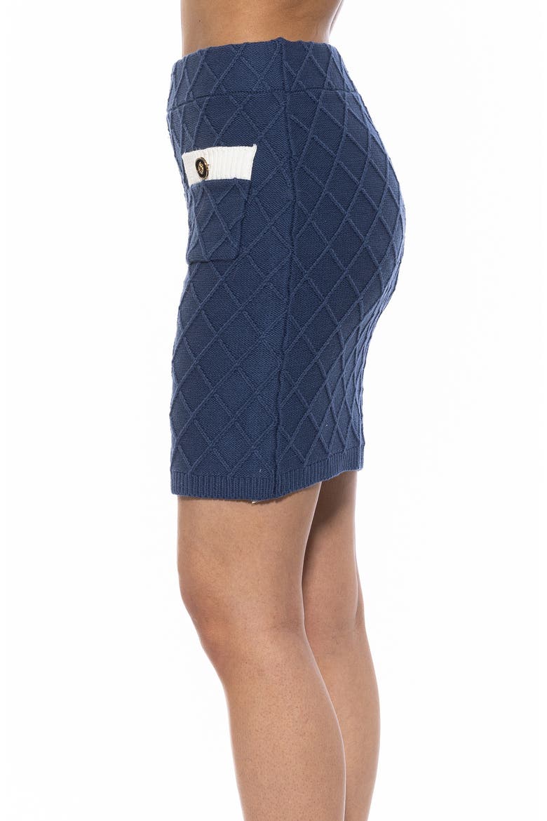 Pattern Knit Miniskirt, Alternate, color, DENIM BLUE