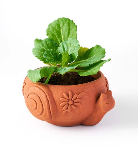 Rakshana Plant Pot
