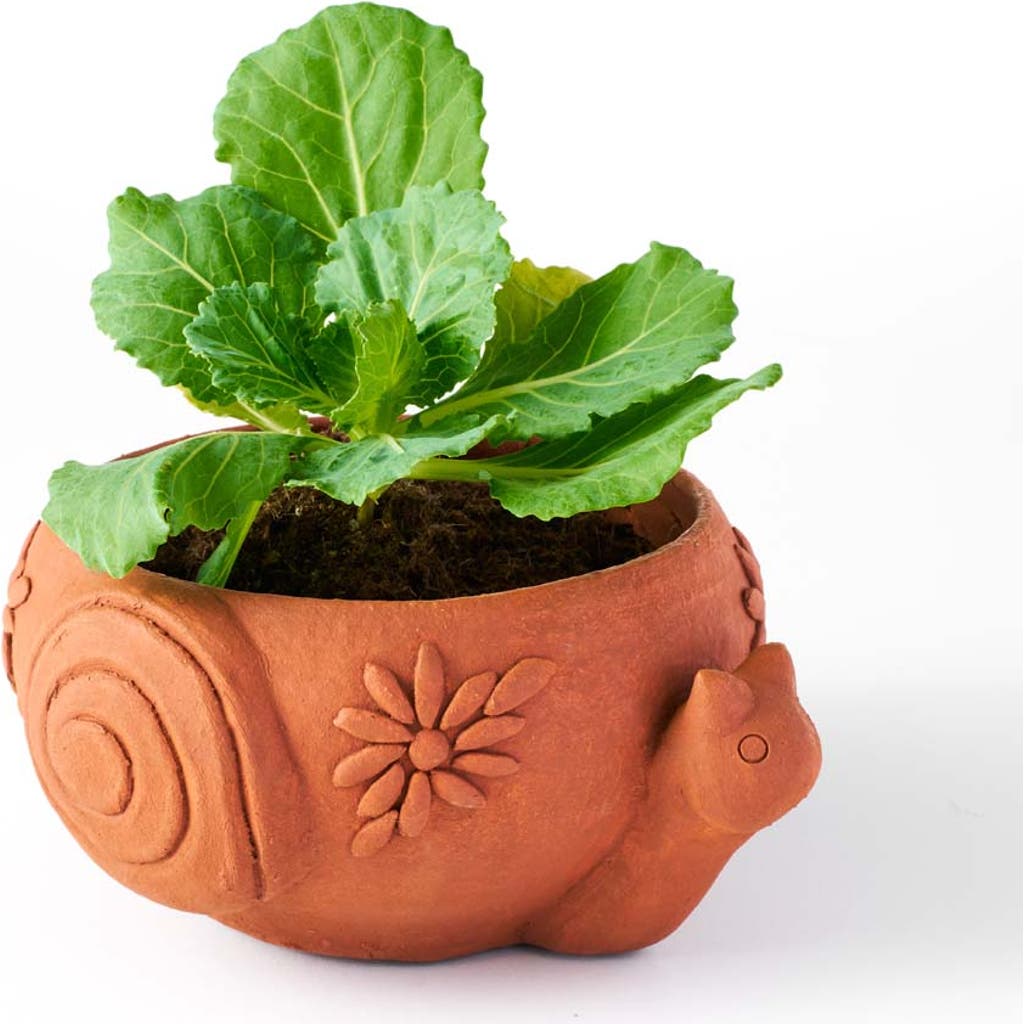 Matr Boomie Rakshana Plant Pot In Multi