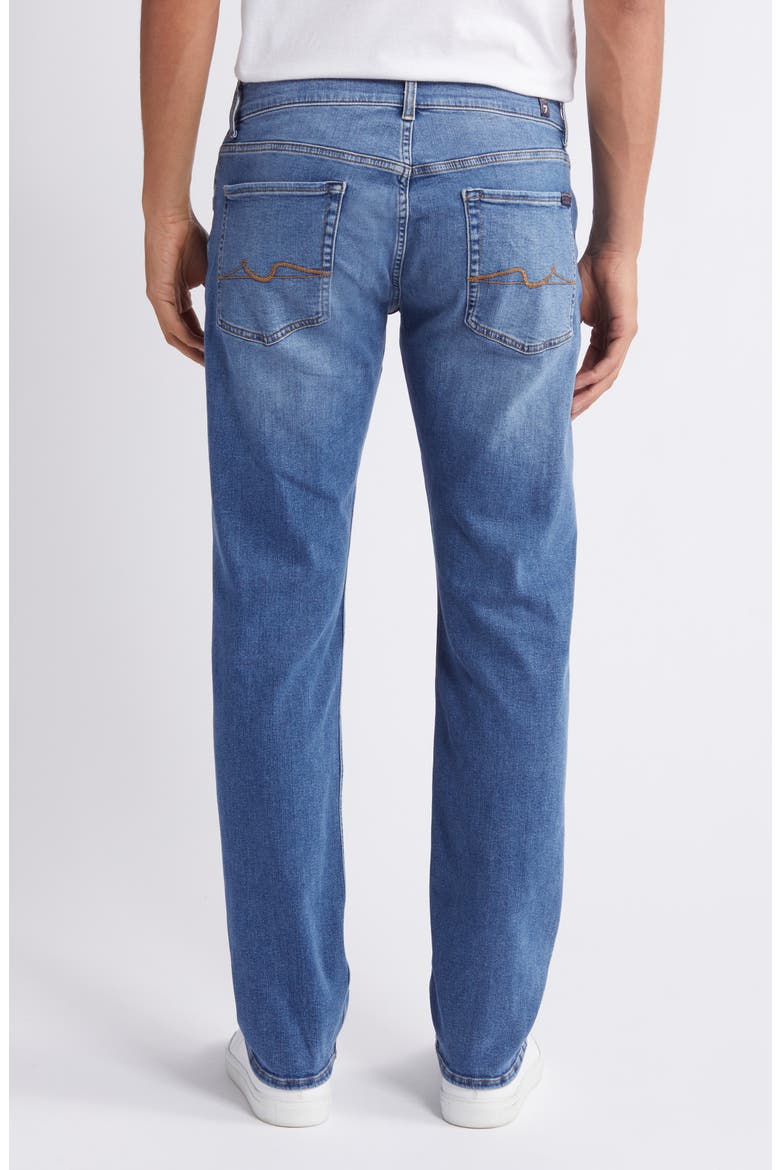 The Straight Leg Jeans, Alternate, color, ARTIC