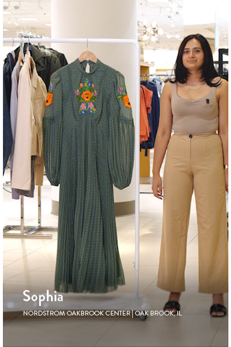 Floral Embroidered Long Sleeve Chiffon Midi Dress video