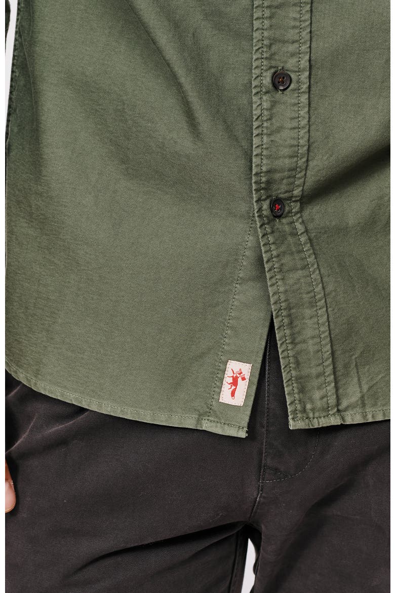Aldridge Oxford Button Down Shirt, Alternate, color, Dark Green