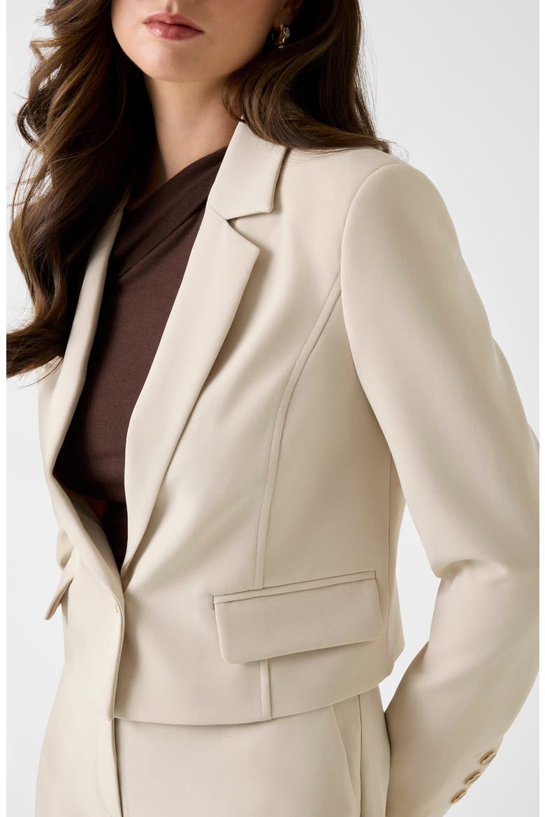Leila Single Breast Crop Blazer, Alternate, color, MEDIUM BEIGE