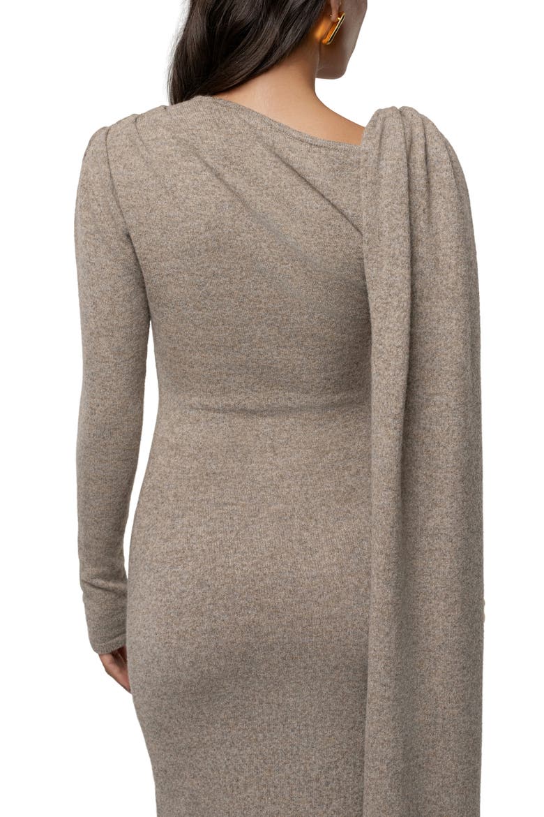Aniza Drape Long Sleeve Maxi Dress, Alternate, color, BEIGE
