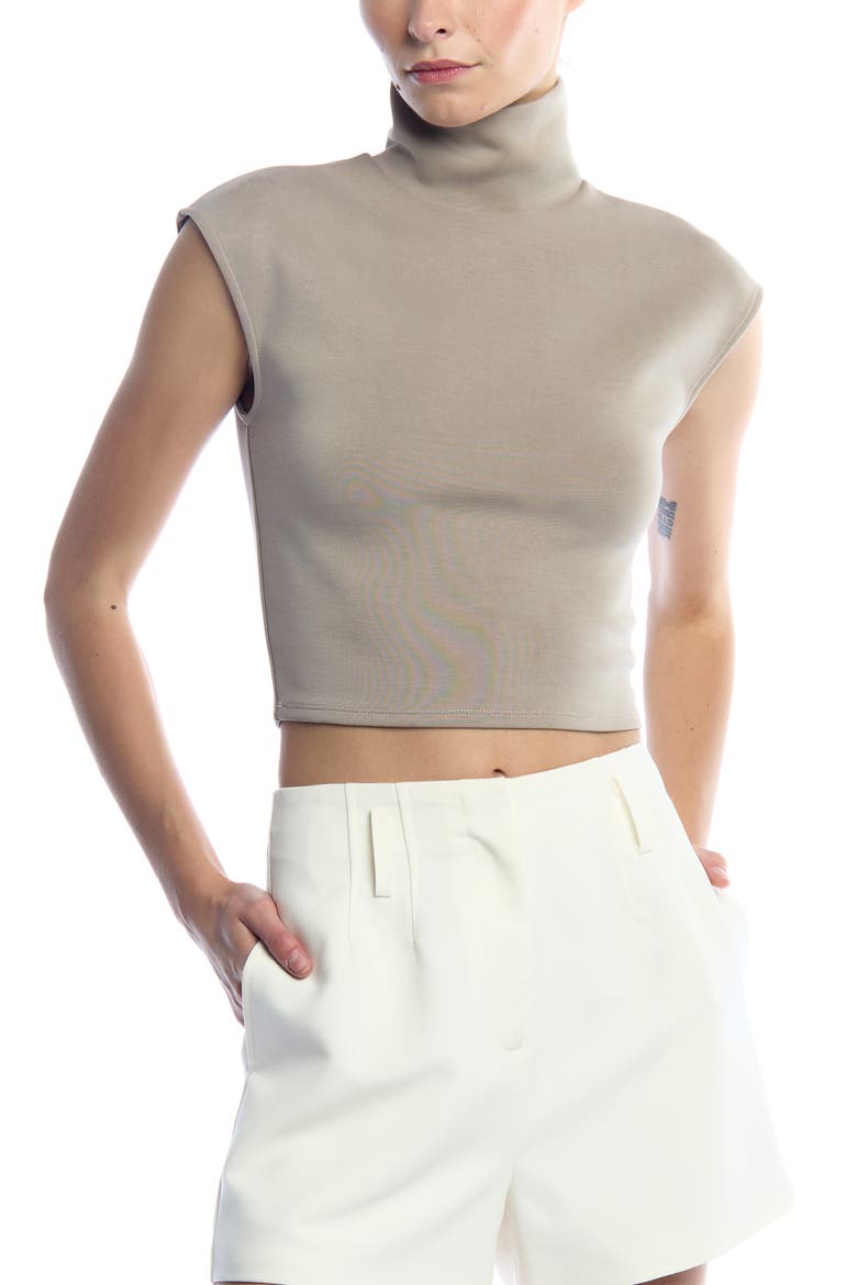 Winslow Sleeveless Turtleneck, Alternate, color, Mocha