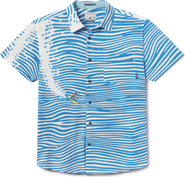 Baja Llama 100 Foot Wave - Vagabond Button Up