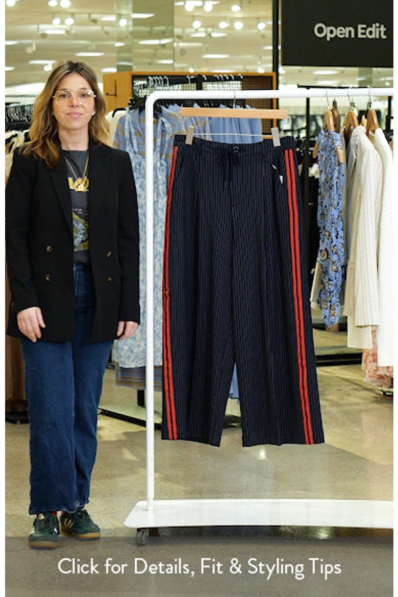 Pinstripe & Side Stripe Pleated Drawstring Pants video