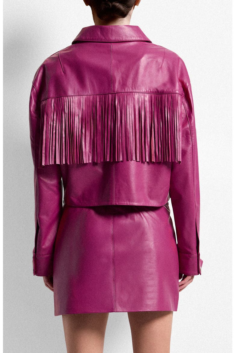 Jeremiah Upcycled Leather Fringe Jacket, Alternate, color, ROSE
