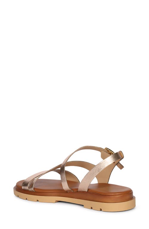Saint G Kamla Slingback Sandal In Champagne