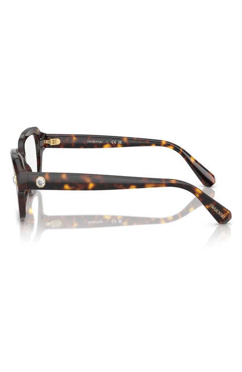 Swarovski 54mm Pillow Optical Glasses In Havana