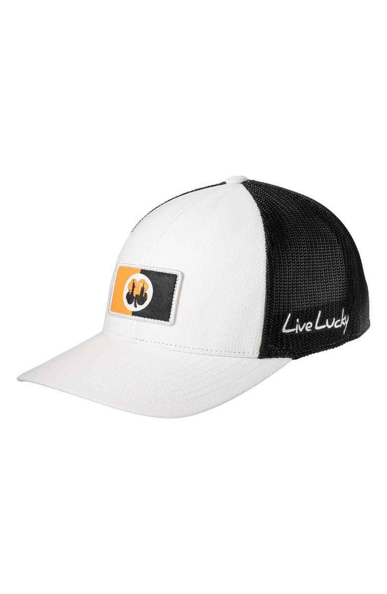 Black Clover New York Clover Patch Snapback Hat, Main, color,