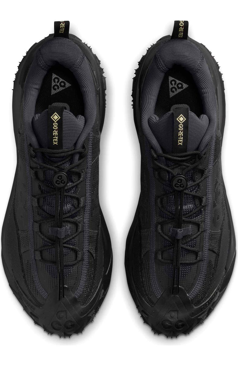Nike ACG Mountain Fly 2 Low GORE-TEX Hiking Shoe, Alternate, color,