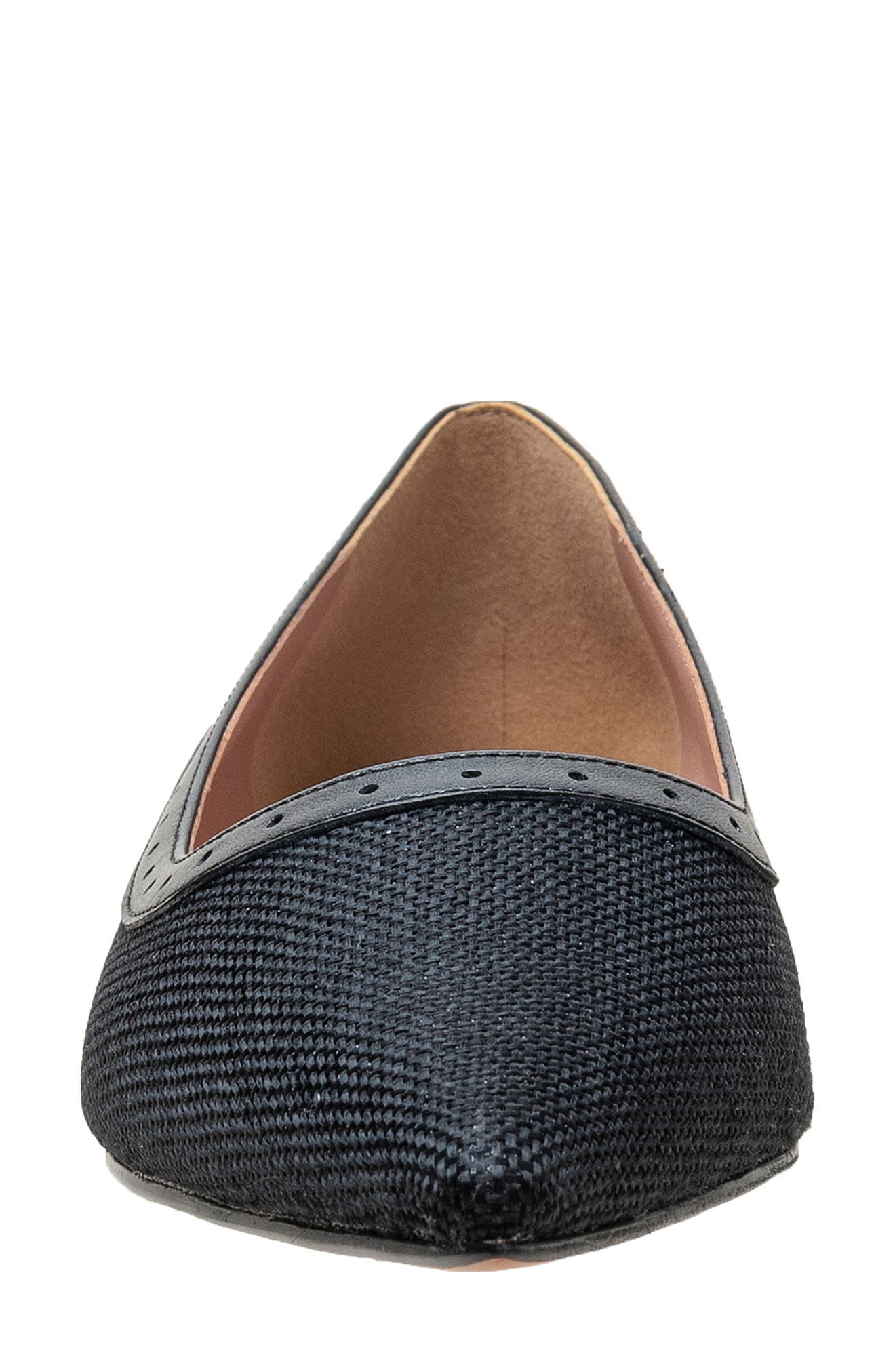 Linea Paolo Newport Pointed Toe Flat, Alternate, color, Black