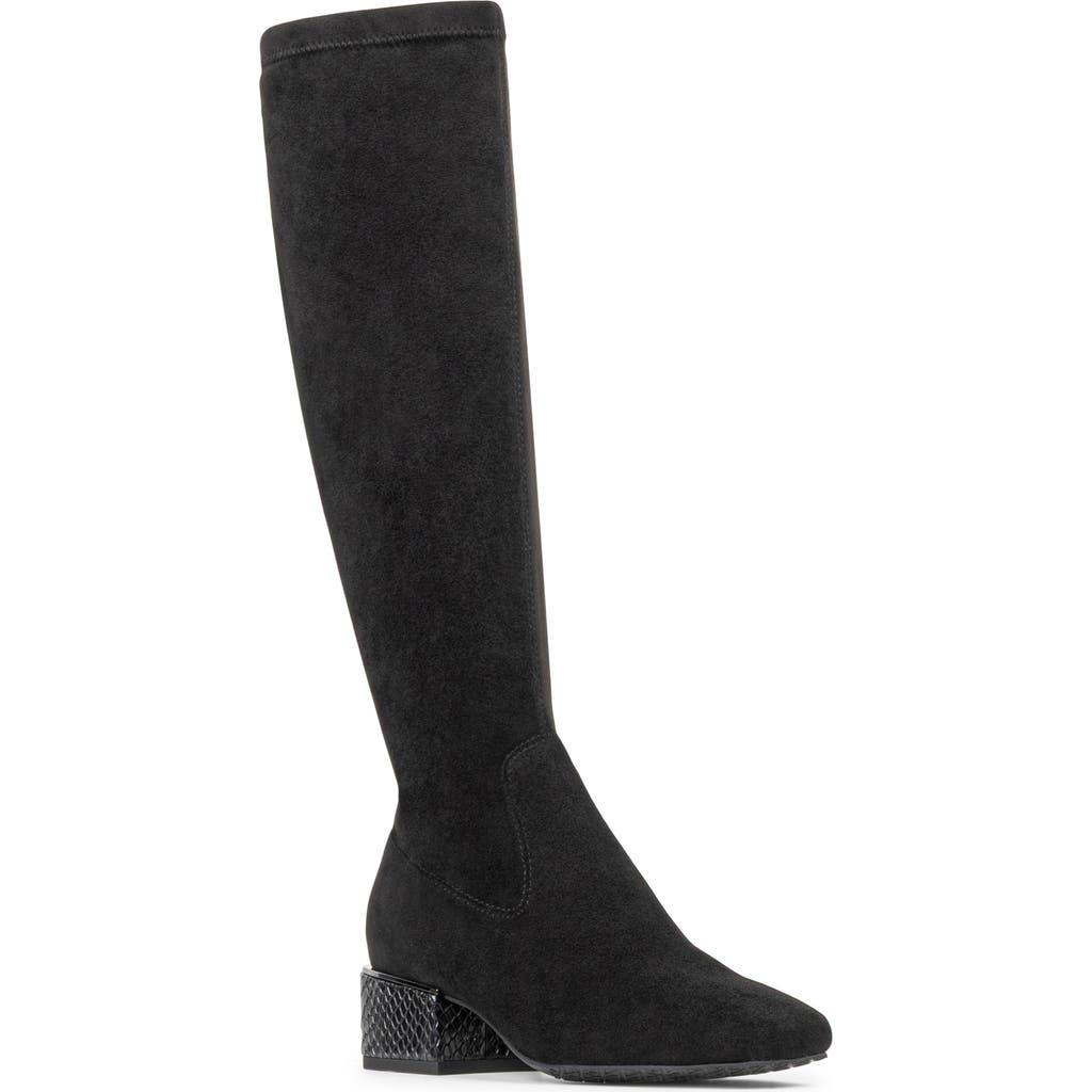 Donald Pliner Avera Knee High Boot in Black  product