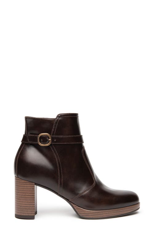 Nerogiardini Platform Bootie In Brown