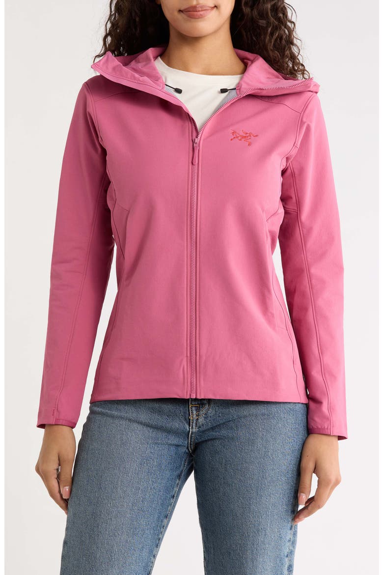 Gamma Performance Hoody, Main, color, RENEGADE