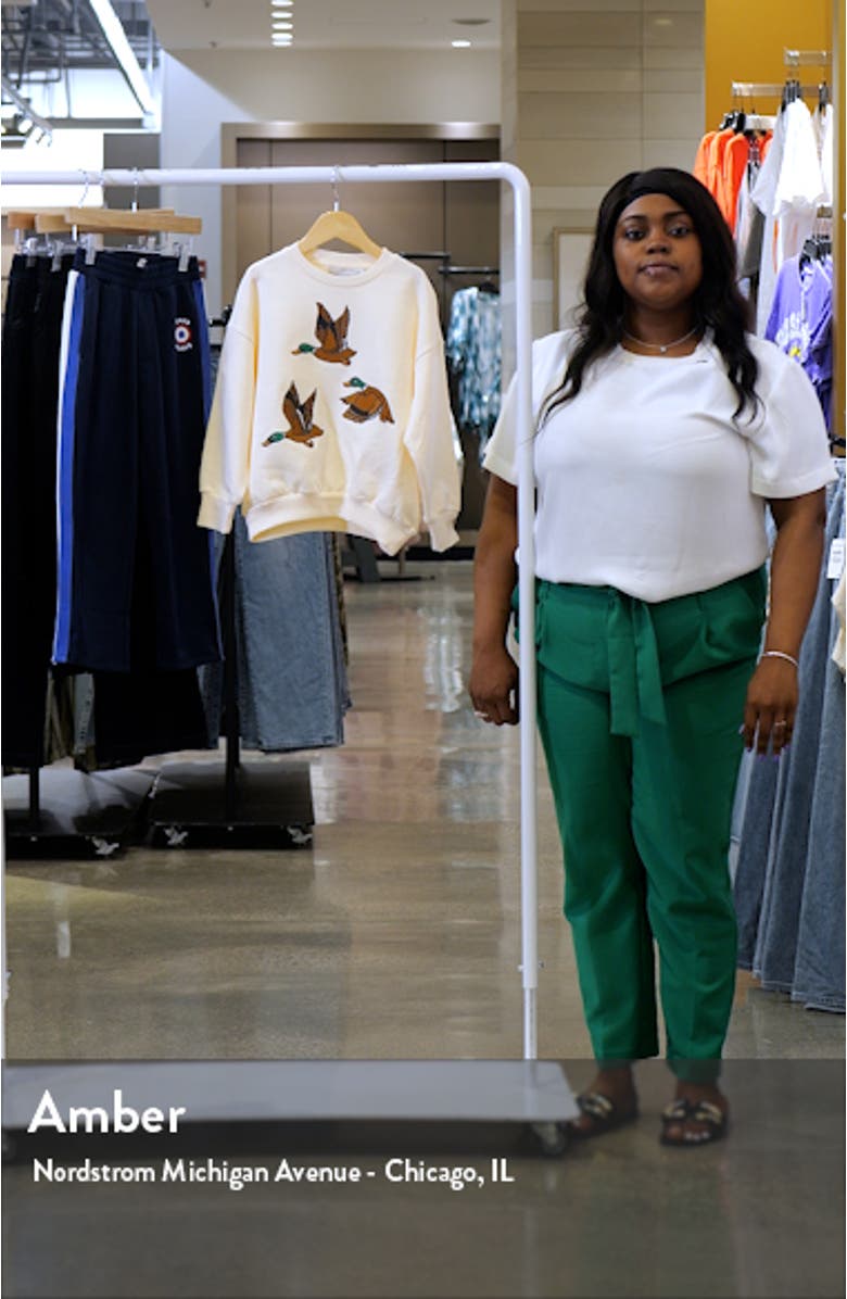 Kids' Embroidered Ducks Organic Cotton Graphic Sweatshirt, sales video thumbnail