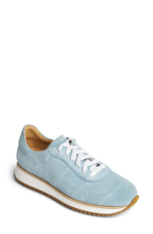 The Office Of Angela Scott The Quinn Felted Wool Sneaker In Sky Blue