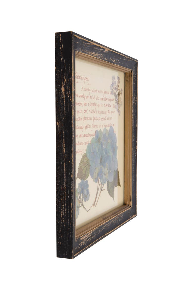Framed Wall Décor with Floral Images and Information, Alternate, color, Cream