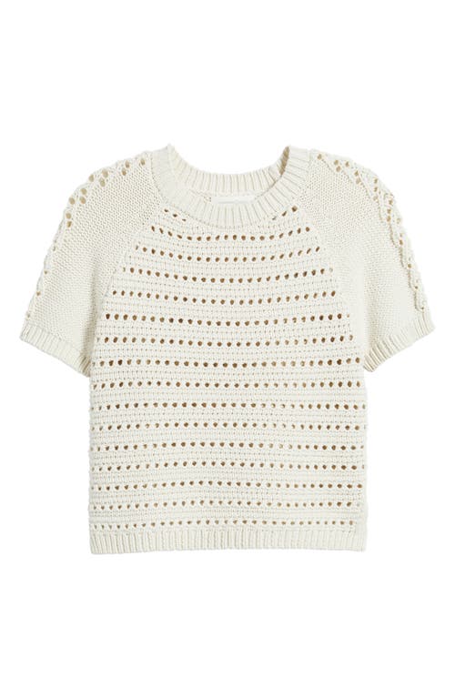 Treasure & Bond Pointelle Raglan Sleeve Sweater In Ivory Dove