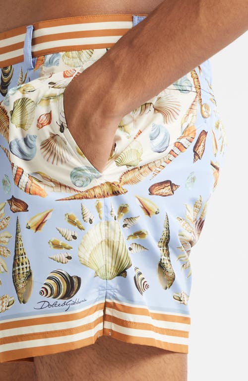 Dolce & Gabbana Dolce&gabbana Shell Print Swim Trunks In Blue