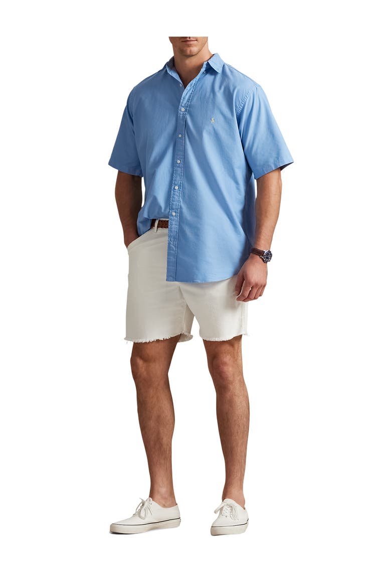 Big & Tall Oxford Sport Shirt, Alternate, color, BRISTOL BLUE