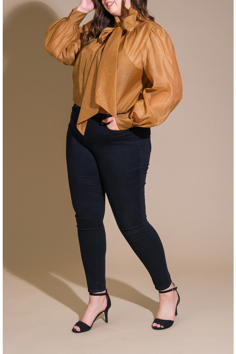 Bow Neck Organza Top, Alternate, color, CAMEL