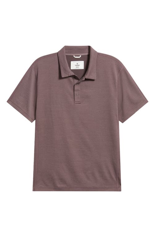 Reigning Champ Solotex® Mesh Tiebreak Polo In Purple