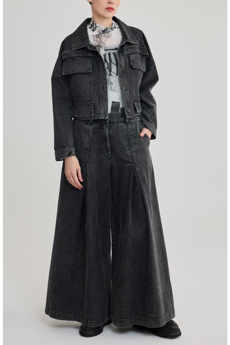 Raine Pleated Wide-Leg Jeans, Alternate, color, Black